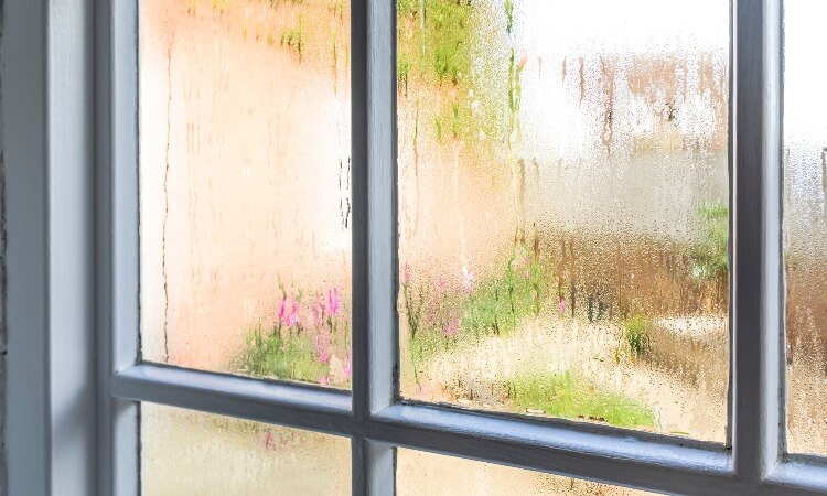 How To Remove Window Films In Your House