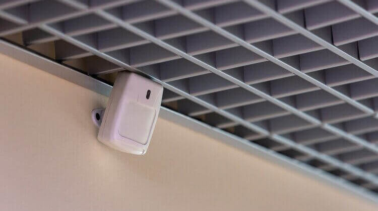 The 7 Best Motion Detector Alarm Systems