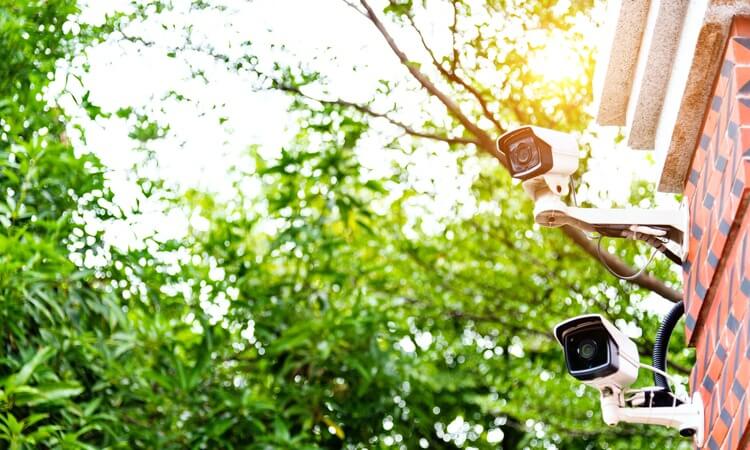 What's The Difference Between Surveillance Cameras And Security Cameras?